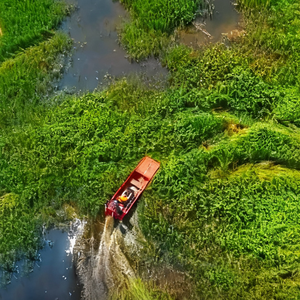 <span class=keywords><strong>Bateau</strong></span> amphibie touristique pour l'agriculture et la pêche, 30 km/h - Product Image 4