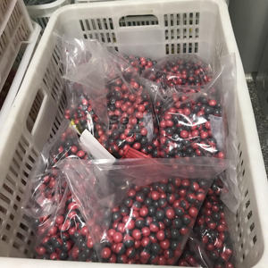 Bolas de Pintura Inflables Ecológicas para Entrenamiento al Aire Libre y Campo, Calibre 0.68/0.5/0.43, Color y Logotipo Personalizables, Venta al Por Mayor - Product Image 2