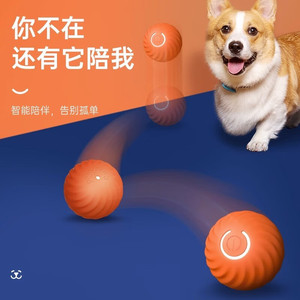 Juguete para Perros con Pelota de Gravedad, TPR Resistente, Masticable, Interactivo y Automático, para Perros Border Collie, Antiaburrimiento - Product Image 1
