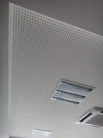 Panneaux acoustiques communs de panneau de gypse insonorisant perforé sans couture de 12mm pour la décoration de plafond et de mur