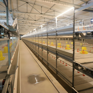 Cages à poulets de chair de type H anti-écrasement, nouvelles, pour petites exploitations familiales, avec clôtures renforcées et conception spacieuse pour l'élevage quotidien des poulets de chair - Product Image 1