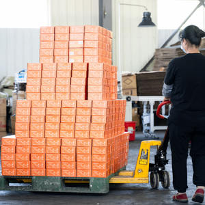 Las Últimas piezas de carbón de 33MM100 de <span class=keywords><strong>Alfa</strong></span> se pueden asar con humo de Shisha al puerto de Shanghai - Product Image 6