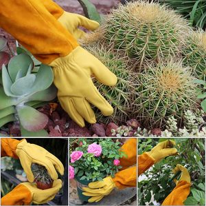 <span class=keywords><strong>Gants</strong></span> de jardinage longs <span class=keywords><strong>pour</strong></span> hommes et femmes, en cuir synthétique, <span class=keywords><strong>pour</strong></span> la taille des <span class=keywords><strong>rosiers</strong></span> - <span class=keywords><strong>Gants</strong></span> de protection respirants et durables - Product Image 6