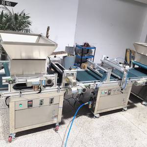 Semoir haute performance pour semis de légumes et fleurs, machine à semer les plateaux de semis - Product Image 6