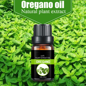Huile Essentielle Pure Premium d'<span class=keywords><strong>Origan</strong></span> 65% Carvacrol Certifiée ISO9001 Parfum Frais Distillée à la Vapeur pour Diffuseur d'Aromathérapie - Product Image 3