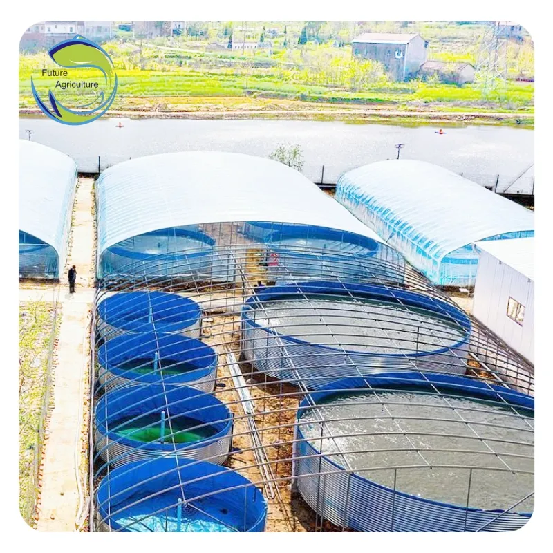 Cá rô phi nuôi trồng thủy sản pisciculture Koi bạt thương mại trang trại cá bể nhựa AO cho nuôi cá