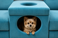 Canapé double pour animaux de compagnie avec lit intégré, design carré, rembourrage en éponge écologique, idéal pour appartement et villa