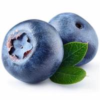 Pemasok Teratas Bubuk Bilberry Eropa Bubuk Blueberry Eropa Bubuk Bilberry