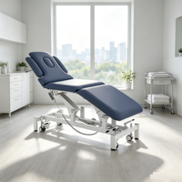 Table de traitement physique électrique portable multifonctionnelle, lit d'acupuncture avec fonction de levage, utilisation en spa, hôtel, clinique