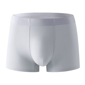 Ropa Interior Masculina de Alta Gama sin Costuras, Cálida, Transpirable y Antibacteriana para Uso en el Hogar o la Oficina - Product Image 1