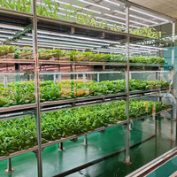 Mesa de siembra para invernadero con cubierta de ABS de alta rigidez Bainer, cama de vivero para agricultura, banco hidropónico con riego por goteo, ¡gran oferta!