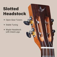 Wholesale 23 Inch Solid Top Acacia Wood Ukulele with 4 Nylon String and Mahogany Neck Matte Finish Sweet Tone Customisable