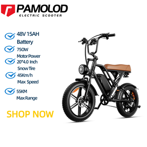 Bicicleta Eléctrica para Adultos de 750W, Negra y Marrón, con Batería Extraíble de 15ah, Neumáticos Anchos, Carga de 150kg, Motor G60 de 750W - Product Image 5
