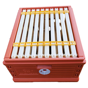 ชุดรังผึ้งหุ้มฉนวนพลาสติก <span class=keywords><strong>2</strong></span> ชั้นขนาด Langstroth กล่องรังผึ้งเทอร์โมบ้านผึ้ง - Product Image 4
