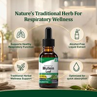 Gouttes à base de feuilles de molène, marque privée OEM, 30 ml, sans alcool, étiquette claire, nutrition quotidienne, formule personnalisée