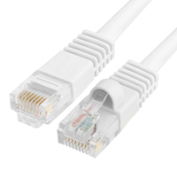 Câble de raccordement Internet à fibre optique Cat 6