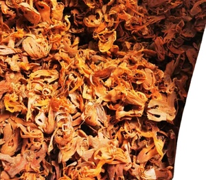 <span class=keywords><strong>Mace</strong></span> 100% natural puro, miristica fragante, NUTMEG - Product Image 1