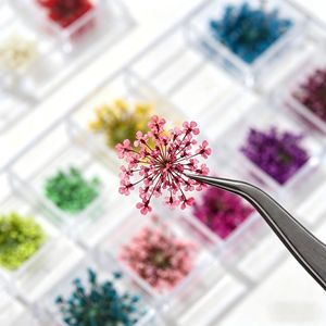 สติกเกอร์ตกแต่งเล็บลายผีเสื้อ 3 มิติ สไตล์ฝรั่งเศส 12 ช่อง ลายสีสันสวยงาม - Product Image 3