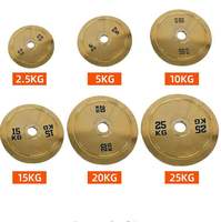Plaques de musculation en acier plaqué or avec logo personnalisé, directement de l'usine, poids calibrés, antidérapantes, portables, durables et écologiques