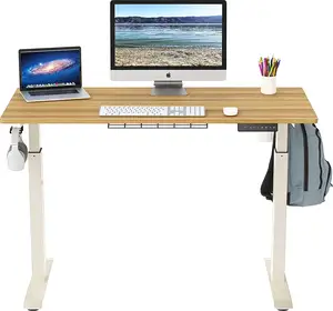Adjustable Height Standing Desk Electric Stand Up Desk Sit Stand Home Office Desk
