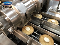 Machine à biscuits de haute qualité pour la fabrication de biscuits, de crème au chocolat, de sandwichs, de biscuits, de gâteaux, de snacks, d'aliments pour boulangeries