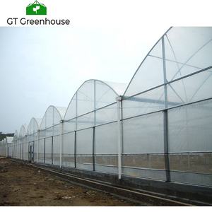 Tunel Plastico Inverna dero-Agri cultura - Product Image 1