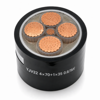 Câble électrique blindé en cuivre YJV22 0.6/1KV 4*70+1*35 avec isolation XLPE pour le câblage électrique des installations commerciales et industrielles