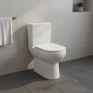 Hector Sanitaryware Ensemble de toilettes monobloc Bol allongé moderne à double chasse avec P-Trap S-Trap pour villas hôtels écoles salles de bain - Product Image 1