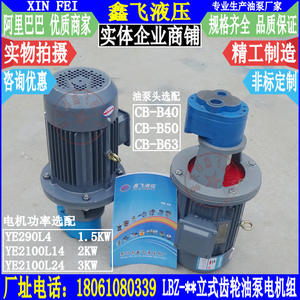 Conjunto de Motor de Bomba de Aceite para Engranajes Verticales LBZ-40 LBZ-50 LBZ-63 2.2KW YE2100L14 Motores Hidráulicos - Product Image 3