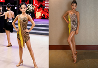 Vestido de Baile Latino con Estampado de Leopardo para Mujer, con Flecos y Pedrería, Traje de Actuación, Vestido de Competición de Baile de Salón