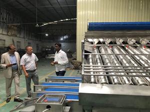 Mesin Penyortir Udang Harga Pabrik Mesin Gradasi Ukuran Udang - Product Image 3