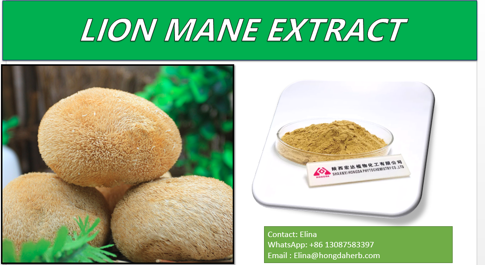 30% Polysaccharide Lions Mane Mushroom Powder Hericium Erinaceus Extract Powder 2