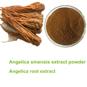 Yüksek kaliteli bitkisel Angelica Sinensis kök ekstresi tozu <span class=keywords><strong>Dong</strong></span> <span class=keywords><strong>Quai</strong></span> anjelika kök ekstresi 10:1 - Product Image 3