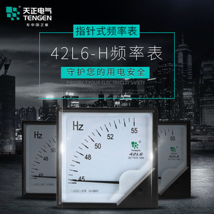Medidor de Frecuencia Tengen 42L6 45-55Hz Tipo Puntero, Hertzómetro para Medición Eléctrica - Product Image 5