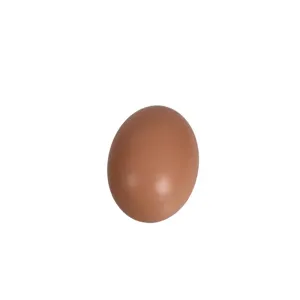 Plastic Faux Eggs Easter Eggs Toys Children Play Kitchen Game Food Toy Plastic Kids Pretend Play Realistic chicken eggs