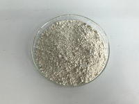 Fabriek 60% Hydroxycitroenzuur Poeder Garcinia Cambogia Extract