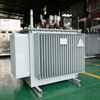 Transformateur de distribution immergé dans l'huile à faible consommation d'énergie 60Hz S13-M 12,47kV 480V à faibles pertes IEC60076