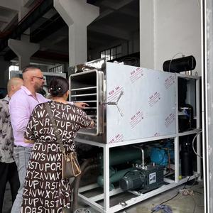 Machine de lyophilisation GYFD-<span class=keywords><strong>2</strong></span> avec PLC et pompe, <span class=keywords><strong>2</strong></span> zones de séchage, matériau SUS304 pour la transformation des aliments et des légumes - Product Image 3