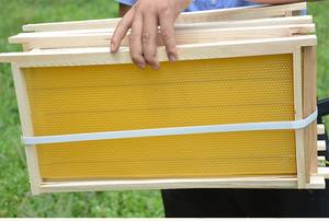 Marco de abeja con hoja de base de cera de abeja Marco de <span class=keywords><strong>colmena</strong></span> de abeja de madera profunda ensamblada para Apicultura - Product Image 3