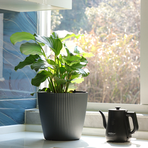 Leizisure Prix d'usine Pays <span class=keywords><strong>Pot</strong></span> de fleur <span class=keywords><strong>en</strong></span> plastique Simple Rond Grand Calibre Jardinière d'arbre auto-arrosante pour <span class=keywords><strong>plante</strong></span> d'extérieur - Product Image 3