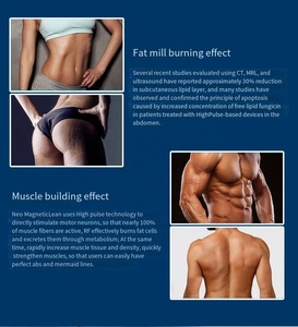 Appareil de remodelage corporel magnétique vertical pour le renforcement musculaire et l'amincissement, idéal pour les salons de beauté et les salles de sport - <span class=keywords><strong>Emszero</strong></span> - Product Image 6