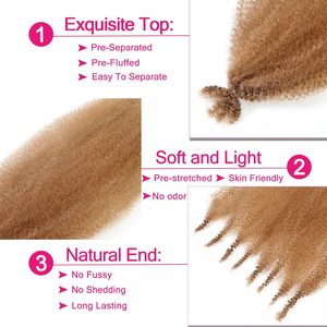 Cheveux Afro Twist Printaniers Ombrés Couleur Mélangée Pré-Séparés Tresses Crochets Synthétiques <span class=keywords><strong>Marley</strong></span> pour Tresses Afro Spring Twist - Product Image 4
