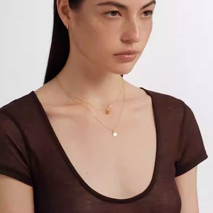 S925 plata esterlina Mini moneda de oro en forma de collar Lucky 12 Zodiac con piedra principal de circón - Product Image 6