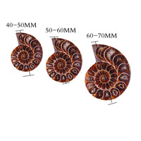 Ammonite fossile conque Madagascar chrysanthème escargot fossile tranche pendentif cristal coloré Feng Shui décoration de la maison 1PC