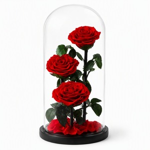 Wholesale Preserved Roses <strong>Bouquet</strong> in Glass Dome, Eternal Rose <strong>Forever</strong> Flower Gift Box for Valentine's Day Factory Custom - Product Image 1