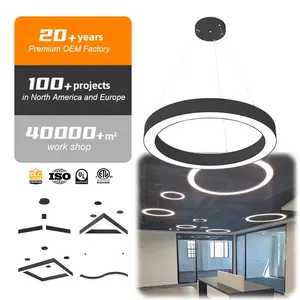 Brandon lighting 3 cct pendant light led 40W 60W 80W black linear pendant light for home office supermarket