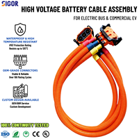 Harnais de câblage haute tension personnalisé pour véhicules électriques, assemblage de câbles avec connecteurs PTFE pour systèmes de groupe électrogène, onduleurs et PDU automobiles