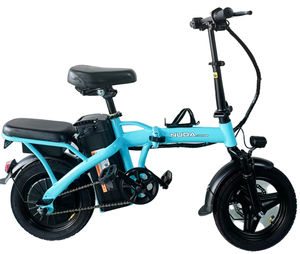 Vélo Électrique Pliant 2025 en Promotion Usine, 500W 48V, Écran LCD 14 Pouces, Cadre en Acier, 3 Vitesses, Vélo de Ville Électrique - Product Image 1