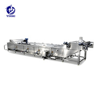 Multifunctionele automatische friteuse voor de verwerking van diepvriesfrieten, aardappelchips, bananenchips en andere chips.