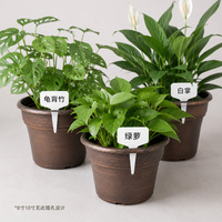 Pot Plastik Pengontrol Akar, Pot Bunga untuk Rumah, Bernapas, Retro, untuk Pothos, Mawar, Anggrek, Luar Ruangan, Halaman, Ukuran Galon, Tebal